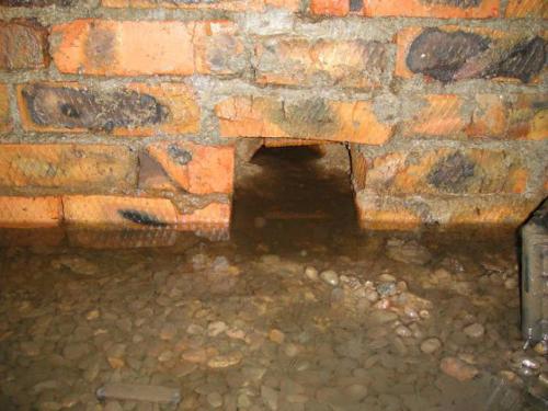 Как высушить погреб известью