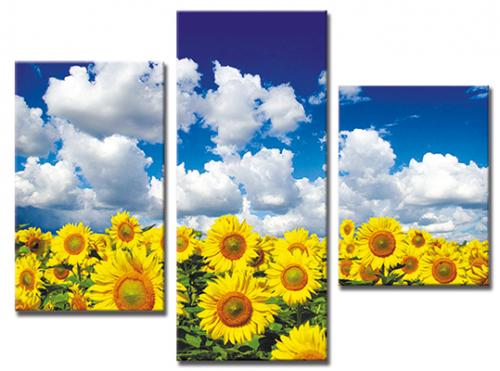 Какую картину выбрать для зала над диваном по фен-шуй: основные правила 13 Какую картину выбрать для зала над диваном по фен-шуй: основные правила 13