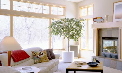 Можно ли использовать абстрактные картины в зале над диваном по фен-шуй. Правила оформления гостиной по фен-шуй