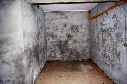 Какие материалы и технологии используются при установке вентиляции в подвале. Вентиляция погреба: разновидности вентиляционных систем и правила их организации