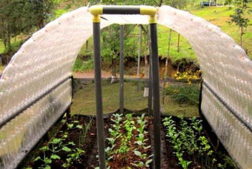 Кровать из пластиковых бутылок своими руками. Делаем теплицу, сарай, парник