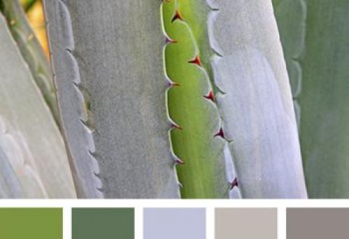 Как выбрать цвет плинтуса: советы для идеального интерьера 07