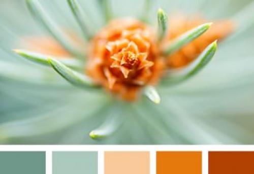 Как выбрать цвет плинтуса: советы для идеального интерьера 13