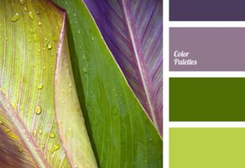 Как выбрать цвет плинтуса: советы для идеального интерьера 06