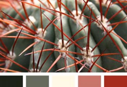 Как выбрать цвет плинтуса: советы для идеального интерьера 11