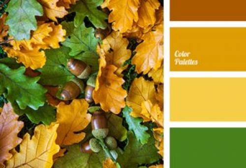 Как выбрать цвет плинтуса: советы для идеального интерьера 12