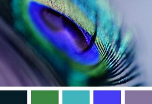 Как выбрать цвет плинтуса: советы для идеального интерьера 10