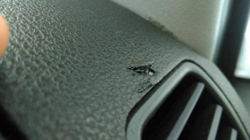 Как убрать царапины с пластика: 3 проверенных метода 01 Как убрать царапины с пластика: 3 проверенных метода 01